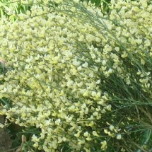 Charmehotel De stokerij te Oudenburg, West-Vlaanderen - Overnachten nabij Brugge, Oostende en De Haan
